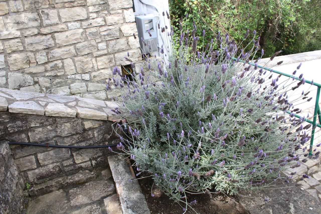 Paxos Rock Apartment Gaios